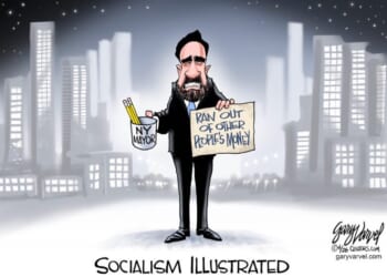 Socialism Illustrated | CDN