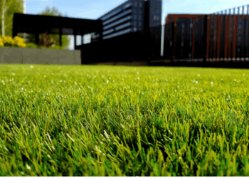 Spring Yard Fixes That Don't Require a Store Run