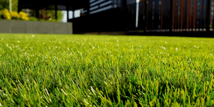 Spring Yard Fixes That Don't Require a Store Run