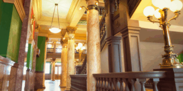 What is MTLeg Studying?
