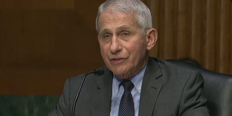 CIA whistleblower calls Fauci COVID cover-up intentional