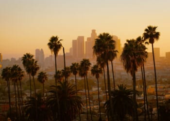 How California ‘Health Charities’ Funnel Money To Karen Bass And Other Democrats