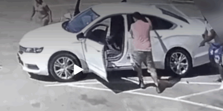 Illegal Migrant Carjacker Attacks Wrong Dad. It’s The Last Mistake He’ll Ever Make.