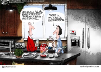 Silly Fads