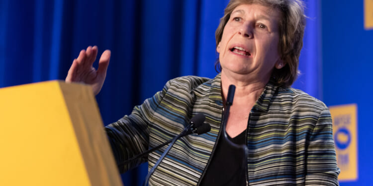 Teacher union boss used its resources for controversial book