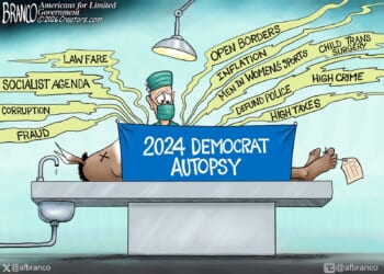 Branco Toon - Democrat Autopsy of 2024