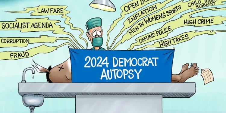 Branco Toon - Democrat Autopsy of 2024