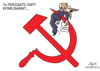 DNC Suicide | CDN