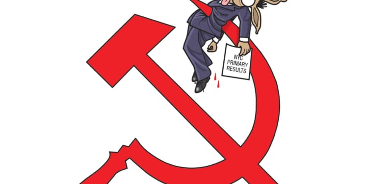DNC Suicide | CDN