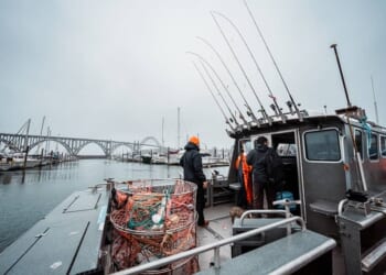 IP28’s Radical Attempt to Kill Oregon’s Way of Life