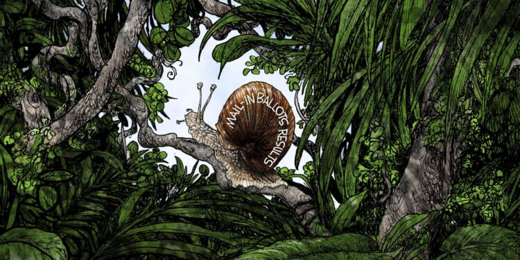 Jungle Primary