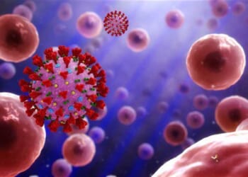NIH Researchers Allegedly Smuggled Monkeypox Into America, Lied About It