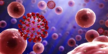 NIH Researchers Allegedly Smuggled Monkeypox Into America, Lied About It