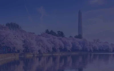 Tinker or transform: The new welfare reform movement