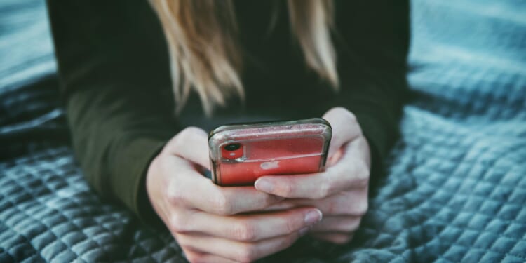 The Argument for Excellence Offline