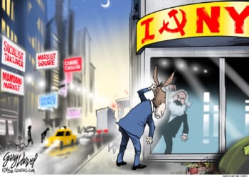 The Donkey in the Mirror