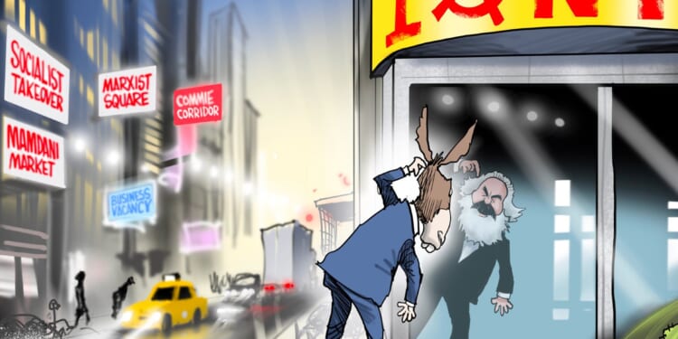 The Donkey in the Mirror