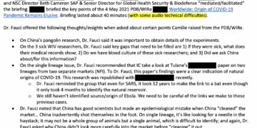 The Fauci Files: Five Explosive Findings Declassified By Tulsi Gabbard