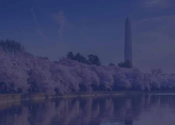 Tinker or transform: The new welfare reform movement