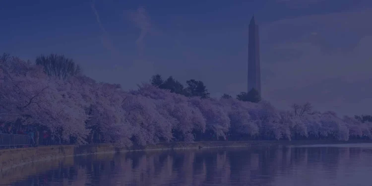 Tinker or transform: The new welfare reform movement