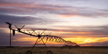 What Rural Nebraska Is Losing