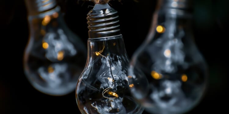 ‘Net zero’ goal forces Brits to pay France to take British power