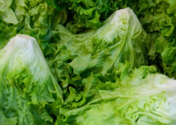 Farmers step up during health crises – Mackinac Center
