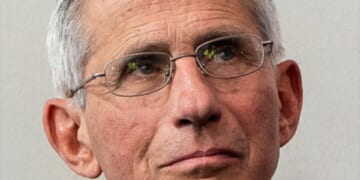Fauci diaries deemed ‘damning’