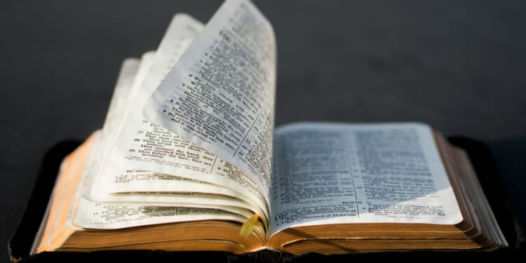 Opponents of the Literature List are Still Confused about Religion and Culture