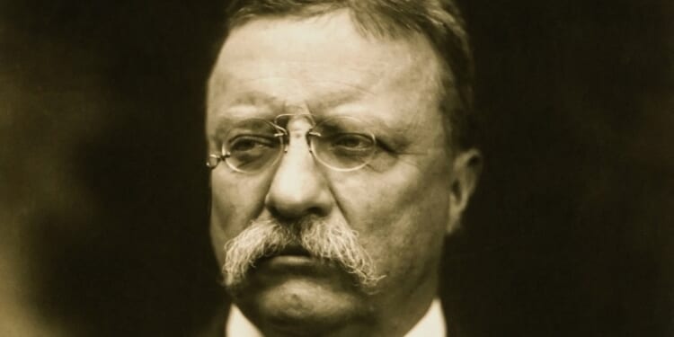 Teddy Roosevelt library sends bad message about America