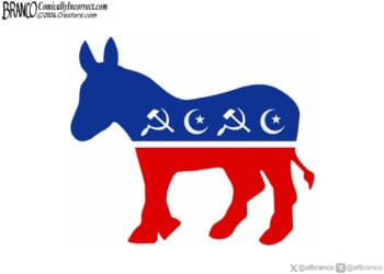 The All-New Donkey Logo | CDN