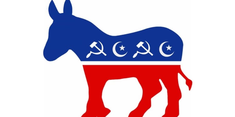 The All-New Donkey Logo | CDN