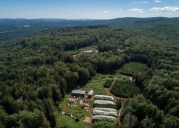When is the DOJ Going to Shut Down All Chinese Pot Grow Sites
