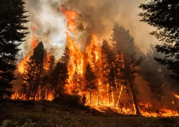 Who’s Responsible for Oregon Wildfires?
