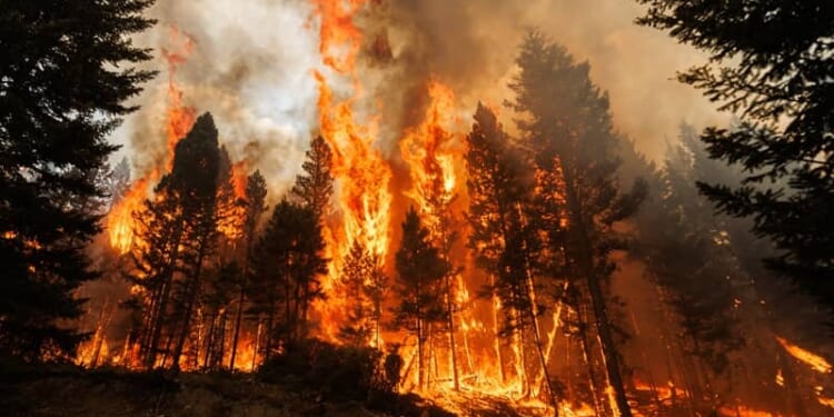Who’s Responsible for Oregon Wildfires?