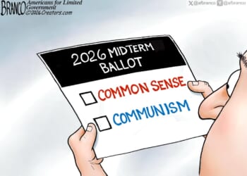 2026 Ballot Made Simple | CDN