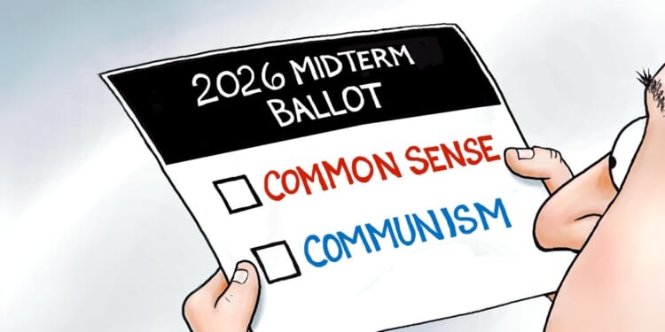 2026 Ballot Made Simple | CDN