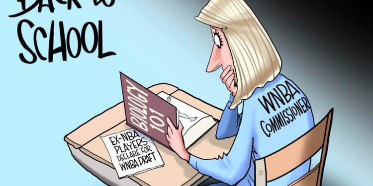 Back to School | CDN