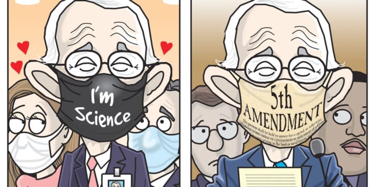 Different Year, Different Mask | CDN