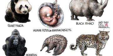 Endangered Species