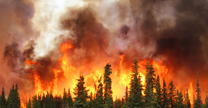 The forest is burning. The roadless rule is making it worse.
