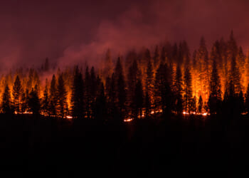 What can Spokane do to avoid what happened in California and Hawaii