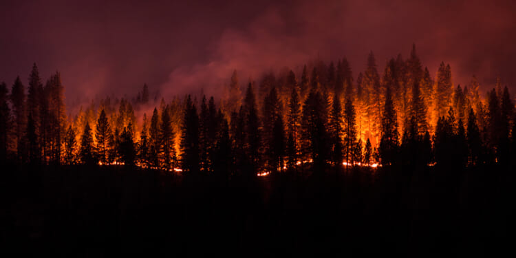 What can Spokane do to avoid what happened in California and Hawaii