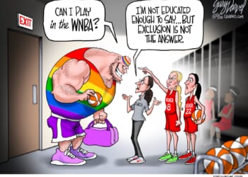 the WTFNBA