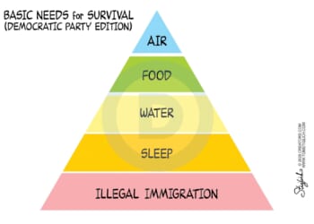 Basic Need | CDN
