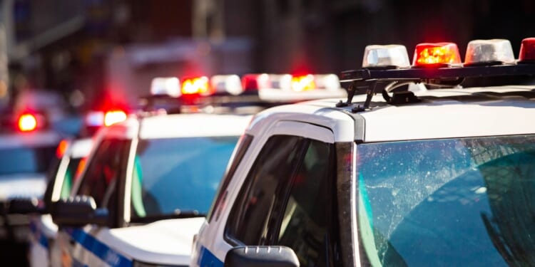 Building a Durable Immigration Enforcement Network with 287(g) Agreements