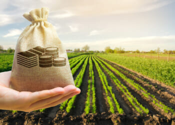 Farm income rebounded in 2025