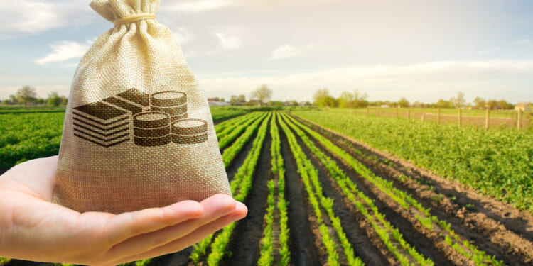 Farm income rebounded in 2025
