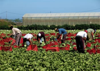Protect farmers from uncertainty by getting the H-2A wage methodology right