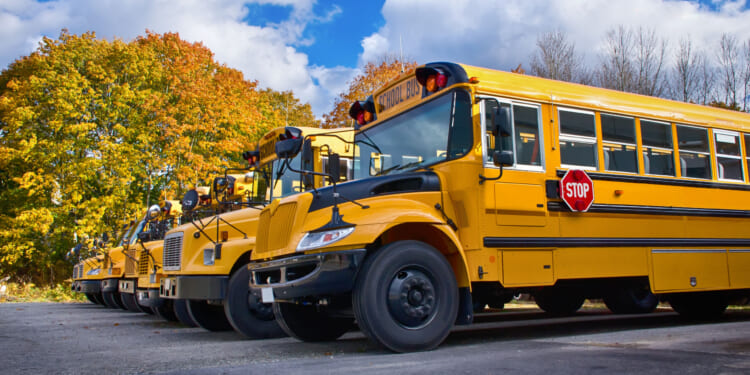 Senator seeks to revoke NEA charter